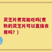 灵芝片煮完能吃吗(煮熟的灵芝片可以直接食用吗？)