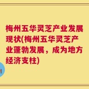 梅州五华灵芝产业发展现状(梅州五华灵芝产业蓬勃发展，成为地方经济支柱)