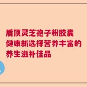 盾顶灵芝孢子粉胶囊 健康新选择营养丰富的养生滋补佳品