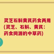 灵芝石斛黄芪药食两用(灵芝、石斛、黄芪：药食同源的中草药)
