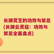 长颈灵芝的功效与禁忌(长颈云灵菇：功效与禁忌全面盘点)