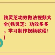 铁灵芝功效做法视频大全(铁灵芝：功效多多，学习制作视频教程！)