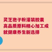 灵芝孢子粉灌装胶囊 高品质原料精心加工成就健康养生新选择