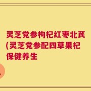 灵芝党参枸杞红枣北芪(灵芝党参配四草果杞保健养生