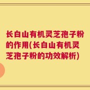 长白山有机灵芝孢子粉的作用(长白山有机灵芝孢子粉的功效解析)