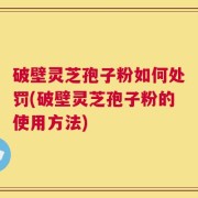 破壁灵芝孢子粉如何处罚(破壁灵芝孢子粉的使用方法)