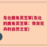 东北鹿角灵芝草(东北的鹿角灵芝草：奇异花卉的自然之宝)