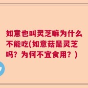 如意也叫灵芝嘛为什么不能吃(如意菇是灵芝吗？为何不宜食用？)