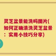 灵芝盆景能洗吗图片(如何正确清洗灵芝盆景：实用小技巧分享)