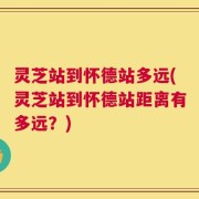 灵芝站到怀德站多远(灵芝站到怀德站距离有多远？)