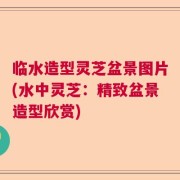 临水造型灵芝盆景图片(水中灵芝：精致盆景造型欣赏)