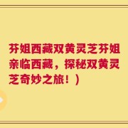芬姐西藏双黄灵芝芬姐亲临西藏，探秘双黄灵芝奇妙之旅！)
