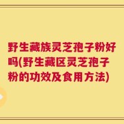野生藏族灵芝孢子粉好吗(野生藏区灵芝孢子粉的功效及食用方法)