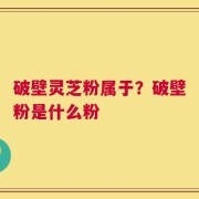 破壁灵芝粉属于？破壁粉是什么粉