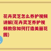 花卉灵芝怎么养护视频讲解(花卉灵芝养护视频教你如何打造美丽花园)