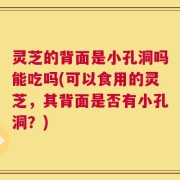灵芝的背面是小孔洞吗能吃吗(可以食用的灵芝，其背面是否有小孔洞？)