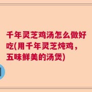 千年灵芝鸡汤怎么做好吃(用千年灵芝炖鸡，五味鲜美的汤煲)