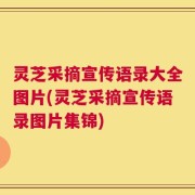 灵芝采摘宣传语录大全图片(灵芝采摘宣传语录图片集锦)