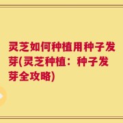 灵芝如何种植用种子发芽(灵芝种植：种子发芽全攻略)