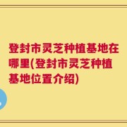 登封市灵芝种植基地在哪里(登封市灵芝种植基地位置介绍)