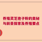 养殖灵芝孢子粉的奥秘与前景探索及养殖要点
