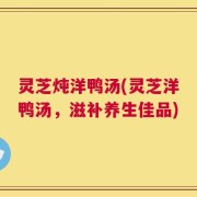 灵芝炖洋鸭汤(灵芝洋鸭汤，滋补养生佳品)