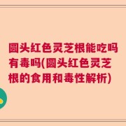 圆头红色灵芝根能吃吗有毒吗(圆头红色灵芝根的食用和毒性解析)