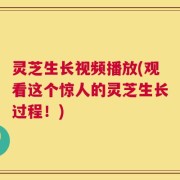 灵芝生长视频播放(观看这个惊人的灵芝生长过程！)