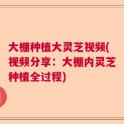 大棚种植大灵芝视频(视频分享：大棚内灵芝种植全过程)