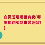 白灵芝烟哪里有卖(哪里能购买到白灵芝烟？)