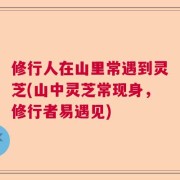 修行人在山里常遇到灵芝(山中灵芝常现身，修行者易遇见)