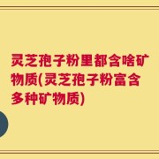 灵芝孢子粉里都含啥矿物质(灵芝孢子粉富含多种矿物质)