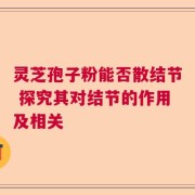 灵芝孢子粉能否散结节 探究其对结节的作用及相关