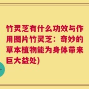 竹灵芝有什么功效与作用图片竹灵芝：奇妙的草本植物能为身体带来巨大益处)