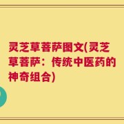 灵芝草菩萨图文(灵芝草菩萨：传统中医药的神奇组合)