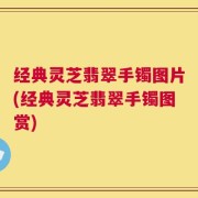 经典灵芝翡翠手镯图片(经典灵芝翡翠手镯图赏)