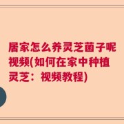 居家怎么养灵芝菌子呢视频(如何在家中种植灵芝：视频教程)