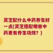 灵芝配什么中药养生好一点(灵芝搭配哪些中药更有养生功效？)