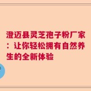澄迈县灵芝孢子粉厂家：让你轻松拥有自然养生的全新体验