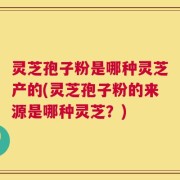 灵芝孢子粉是哪种灵芝产的(灵芝孢子粉的来源是哪种灵芝？)
