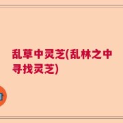 乱草中灵芝(乱林之中寻找灵芝)