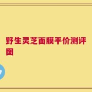 野生灵芝面膜平价测评图