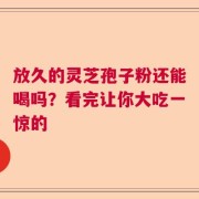 放久的灵芝孢子粉还能喝吗？看完让你大吃一惊的
