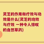 灵芝的作用和疗效与功效是什么(灵芝的功效与疗效 一种令人惊叹的自然草药)