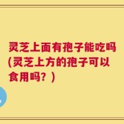 灵芝上面有孢子能吃吗(灵芝上方的孢子可以食用吗？)