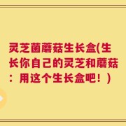 灵芝菌蘑菇生长盒(生长你自己的灵芝和蘑菇：用这个生长盒吧！)