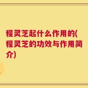 程灵芝起什么作用的(程灵芝的功效与作用简介)