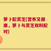 萝卜配灵芝(营养又健康，萝卜与灵芝双料配对)