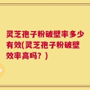 灵芝孢子粉破壁率多少有效(灵芝孢子粉破壁效率高吗？)