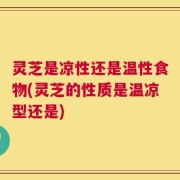 灵芝是凉性还是温性食物(灵芝的性质是温凉型还是)